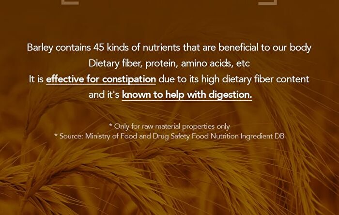 Foodology Grainology Enzyme - 3000mg x 28 sticks