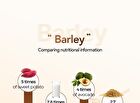 Foodology Grainology Enzyme - 3000mg x 28 sticks
