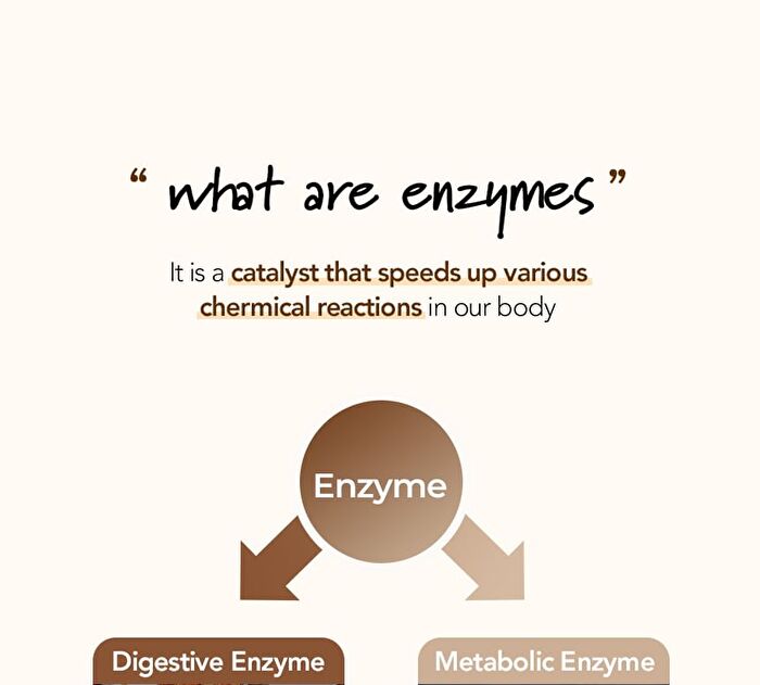 Foodology Grainology Enzyme - 3000mg x 28 sticks