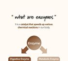 Foodology Grainology Enzyme - 3000mg x 28 sticks