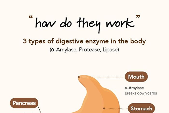 Foodology Grainology Enzyme - 3000mg x 28 sticks