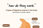 Foodology Grainology Enzyme - 3000mg x 28 sticks