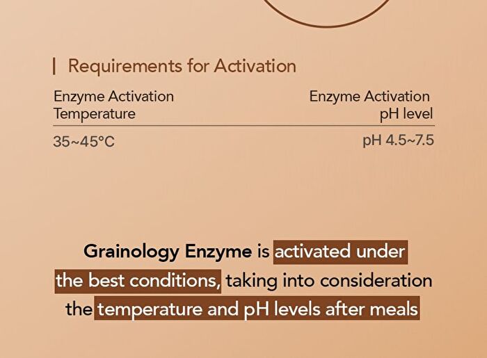 Foodology Grainology Enzyme - 3000mg x 28 sticks