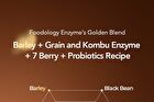 Foodology Grainology Enzyme - 3000mg x 28 sticks