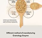 Foodology Grainology Enzyme - 3000mg x 28 sticks