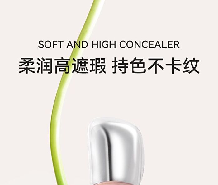 Moisture Flawless Concealer - 3 Colours - 03# White - 2.5g