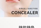 Moisture Flawless Concealer - 3 Colours - 03# White - 2.5g