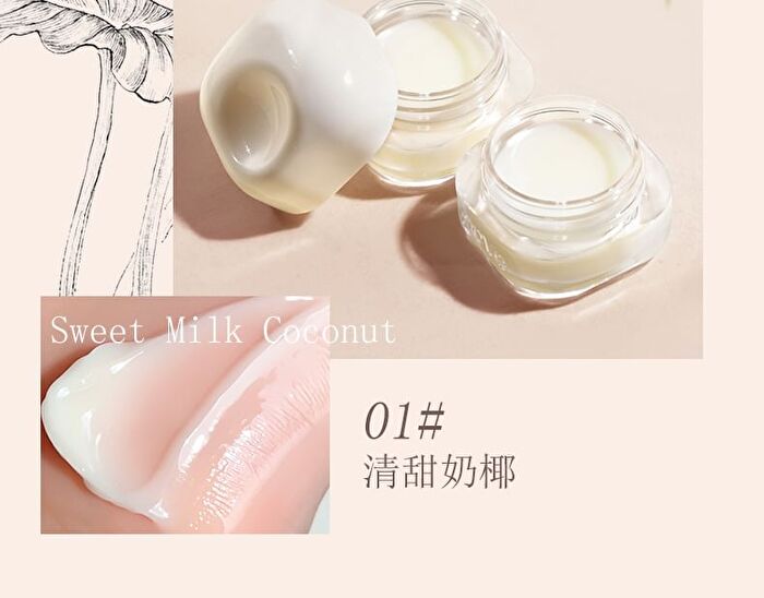Day & Night Lip Mask - 3 Flavors - 01# Coconut - 5.4g
