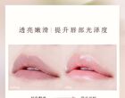 Day & Night Lip Mask - 3 Flavors - 01# Coconut - 5.4g