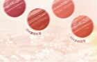 Flowers Series Mirror Lip Glaze - 4 Colours - 20# - 2.5g