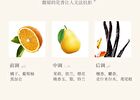 Novo Blue Copper Peptide / Vitamin C / Ceramide Hand Cream - #5811 Ceramide - 60g