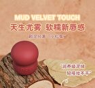 Lightweight & Silky Lip Mud - 4 Colours - 214# - 6g