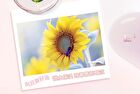Moisturizing DuDu Lip Oil - 3 Colours - 02# Peach (Light Pink) - 2g