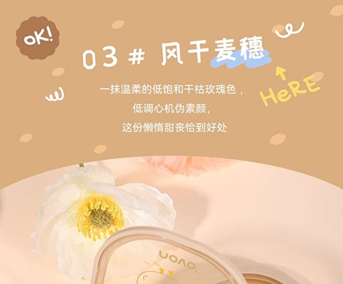 Portable 4 Colours Eyeshadow Palette - 05# - 6g