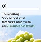 Shine Muscat Mouth Wash - 11ml x 10 sticks