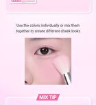 Sheer Layering Dual Blusher - 7 Colors - #01 Cheerful Coral