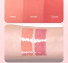 Juicy Dewy Tint Romantic Blossom Collection - 2 Colors - Berry Mochi