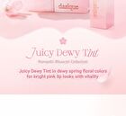 dasique Juicy Dewy Tint Romantic Blossom Collection - 2 Colors - Sakura Parfait