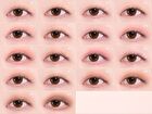 Shadow Palette  Collection - Romantic Blossom