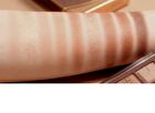 Shadow Palette  Collection - Romantic Blossom