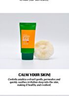 Cica Sun - 3 Types - Leports