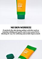 Cica Sun - 3 Types - Leports