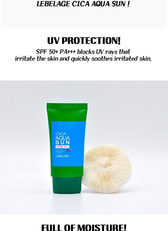 Cica Sun - 3 Types - Leports