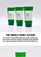 Cica Sun - 3 Types - Leports