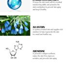 Hydrogel Eye Patch - 3 Types - Dr. Vitamin