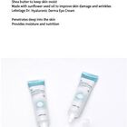 Dr. Derma Eye Cream - 4 Types - Snail