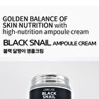 Ampoule Cream - 7 Types - White Tone Up