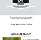 Ampoule Cream - 7 Types - White Tone Up