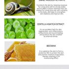 Ampoule Cream - 7 Types - White Tone Up