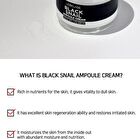 Ampoule Cream - 7 Types - White Tone Up