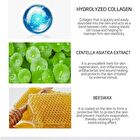 Ampoule Cream - 7 Types - White Tone Up