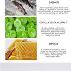 Ampoule Cream - 7 Types - White Tone Up