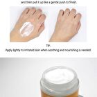 Ampoule Cream - 7 Types - White Tone Up