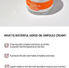 Ampoule Cream - 7 Types - White Tone Up