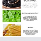 Ampoule Cream - 7 Types - White Tone Up