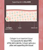 Collagen Power Lifting Cream - 100ml