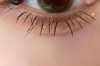 Lengthening & Curling Mascara - 2 Colors - 01# Black - 3g