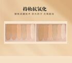 Matte Finish Long Wearing Foundation - 6 Shades - #1395 Sandy Tan - 30ml