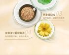 Matte Finish Long Wearing Foundation - 6 Shades - #1395 Sandy Tan - 30ml