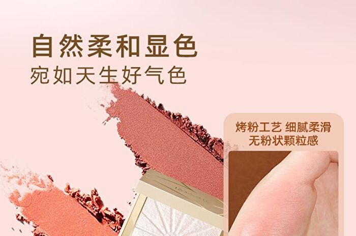 Monochrome Blusher / Highlighter - 8 Colours - #H03 Bronze Gold - 8.8g