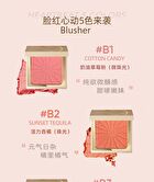 Monochrome Blusher / Highlighter - 8 Colours - #B4 Crushed Coral - 8.8g