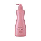 Professional Sublimic Airy Flow Treatment Thick Unruly Hair - 1000g