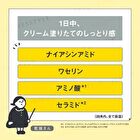Bcl Kansosan Skincare Moisture Base Cover SPF 40 PA+++ - 30g