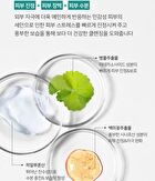 Cica Mild Cleansing Foam - 150ml