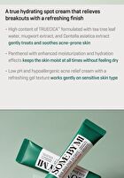 AHA, BHA, PHA 14 Days Super Miracle Spot All Kill Cream - 2024 Version - 30ml