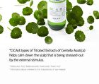 Cica Peptide Anti Hair Loss Derma Scalp Tonic - 150ml
